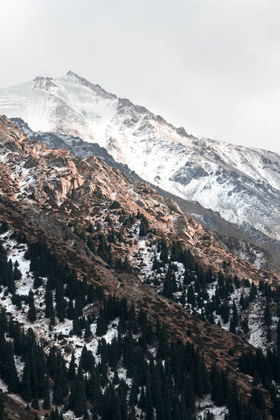 istock Ala-tau mountains Kazakhstan 2017 868101906