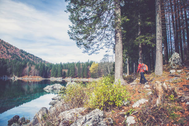 istock Senior Mountaineer in Alps 868105916