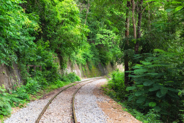 istock Railway track curve in verdant rainforest 868106164