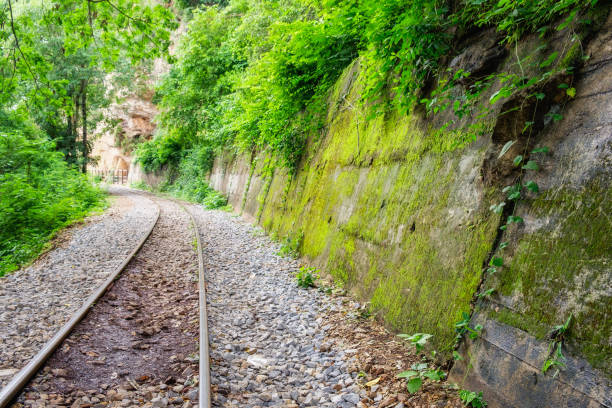 istock Railway track in verdant tropical rainforest 868106178