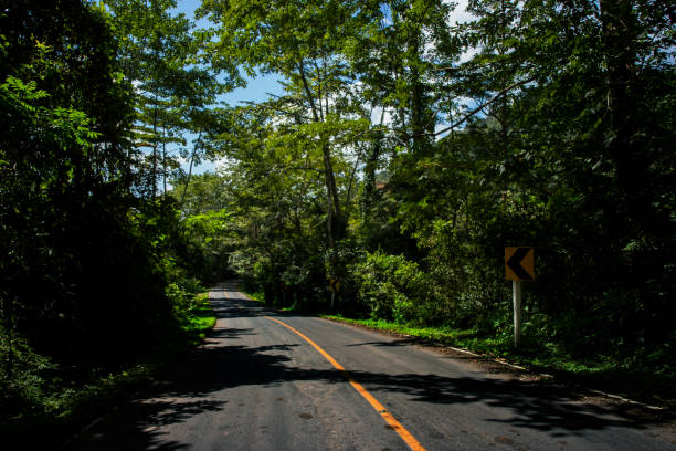 istock Country Road on the Mountain 868113102