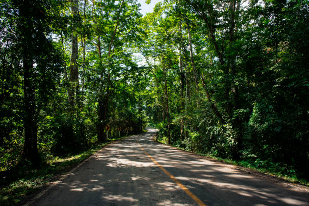 istock Country Road on the Mountain 868113328