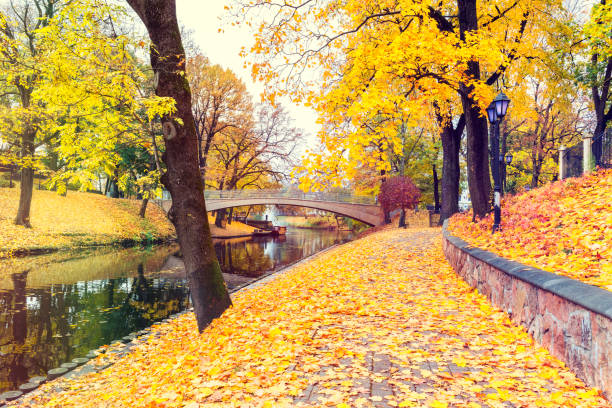 istock Late autumn in old public park 868114150