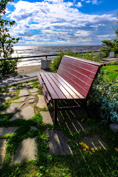 istock bench on sea background beautiful landscape 868117548