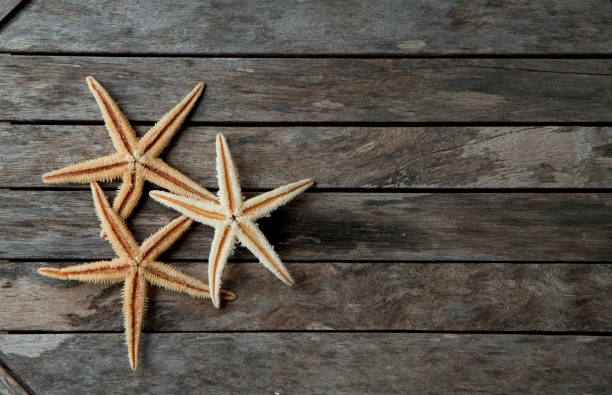 starfish in wooden background stock photo