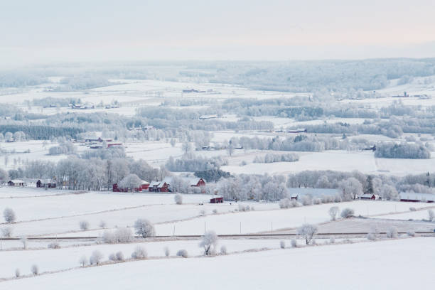 istock Wintry rural landscapes view with snow 868125174