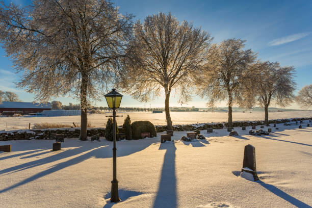istock Cemetery in backlight in a wintry rural landscape 868125562