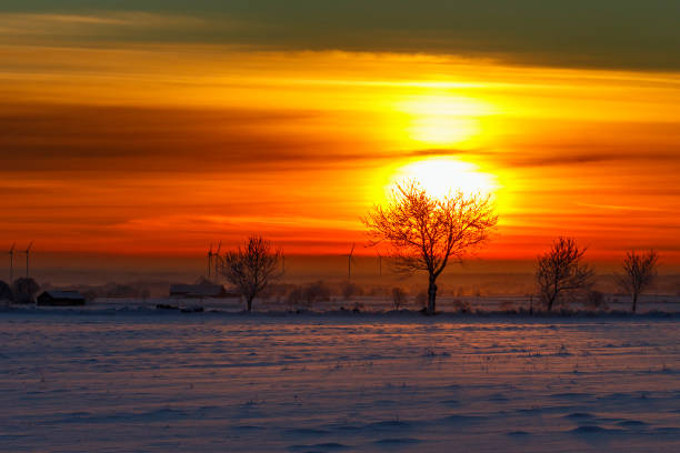 sunrise view in winter landscape with trees and wind turbines in silhouette - winter farm vibrant color shadow imagens e fotografias de stock