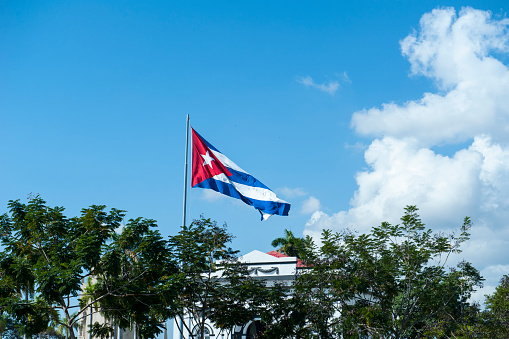 Cuban flag between the trees against sky