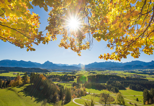 wide angle panoramic view to rural landscape in Bavaria with alps mountains and sunbeams behind beech tree in autumn