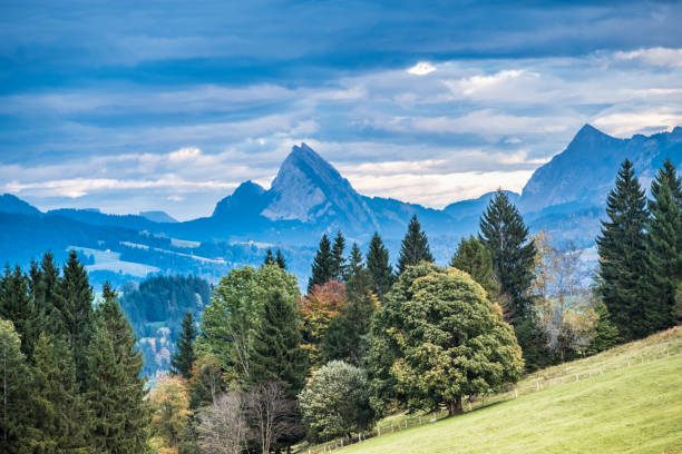 istock Raten pass, Canton Zug, Switzerland 868139938