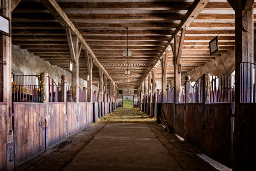 Cajas en el antiguo establo del caballo en la granja photo