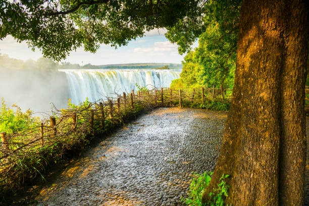 istock Victoria Falls Africa 868147816