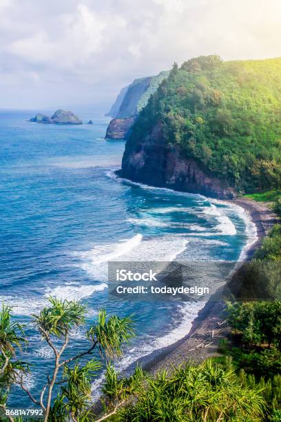 Küste Der Insel Hawaiis Felsen Ozean Stockfoto und mehr Bilder von Strand - Strand, Landschaft, Natur