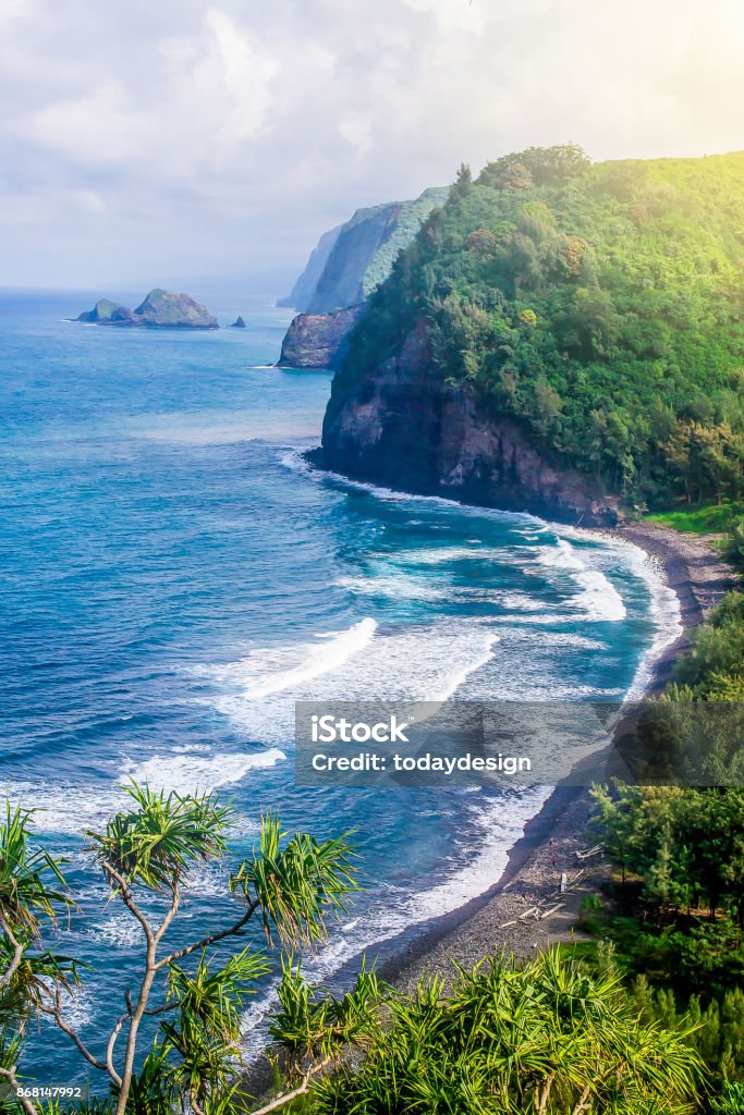 Coastline of the Hawaiian island, rock, ocean Beach Stock Photo