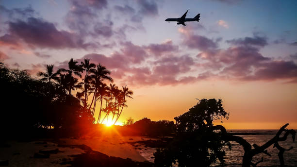 istock Sunset on Hawaiian Island. Palms, sky, ocean, sun 868150202