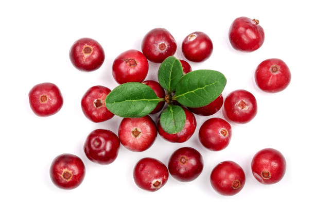 istock Cranberry with leaf isolated on white background closeup top view 868152024