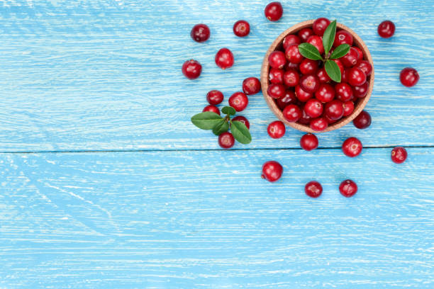 istock Cranberry with leaf in bowl on blue wooden background with copy space for your text. Top view 868153120