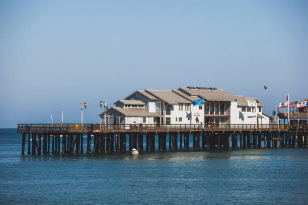 istock Stearns Wharf in Santa Barbara, usa 868159616