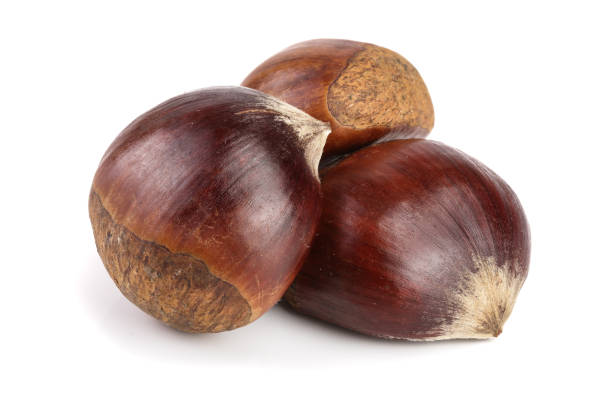 istock fresh edible chestnut isolated on white background 868162244
