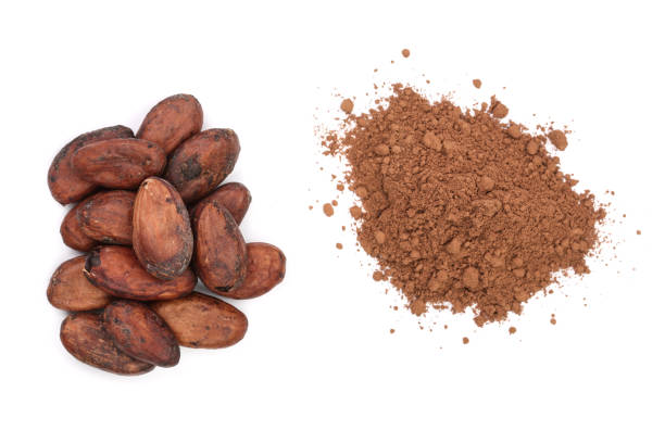 istock cocoa bean and cocoa powder isolated on white background top view 868165870