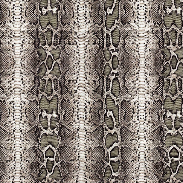 padrão de textura pele de cobra sem emenda - belt fashion animal print snake - fotografias e filmes do acervo