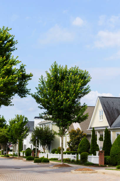 istock Row of Houses 868172796