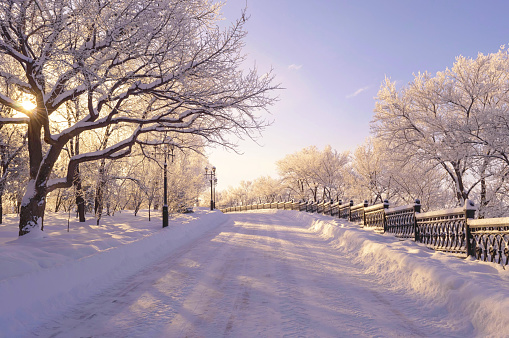 Frosty dawn in Khabarovsk. 