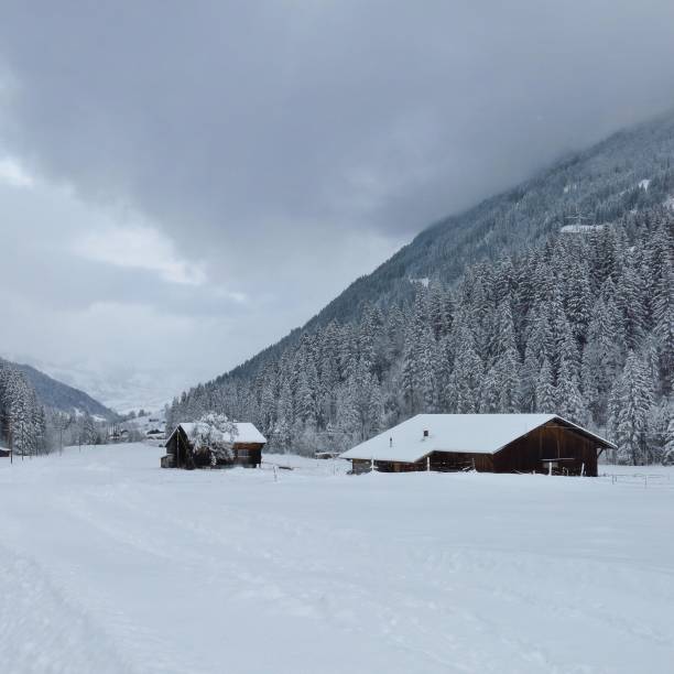 istock Winter landscape near Gstaad, Switzerland. 868180834