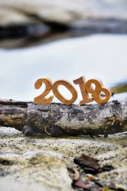 istock Happy new year 2018, nature concept 868183930