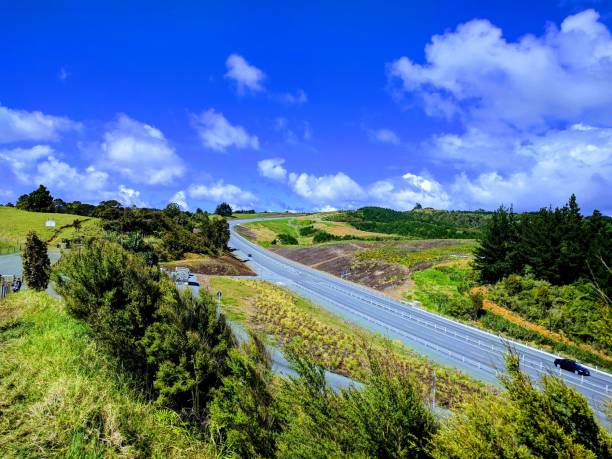 istock New Zealand from above 868185386