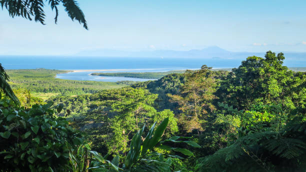 Exploring Daintree Rainforest near Cairns in Queensland