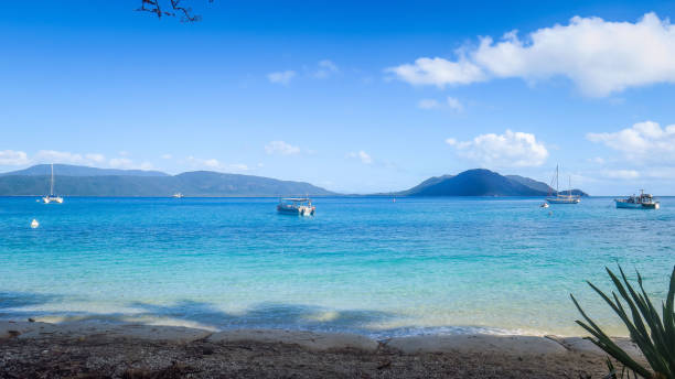 istock Exploring Fitzroy Island near Cairns in Queensland 868192094