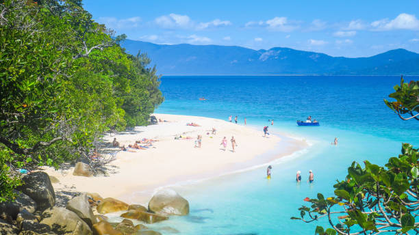 esplorare fitzroy island vicino a cairns nel queensland - cairns foto e immagini stock