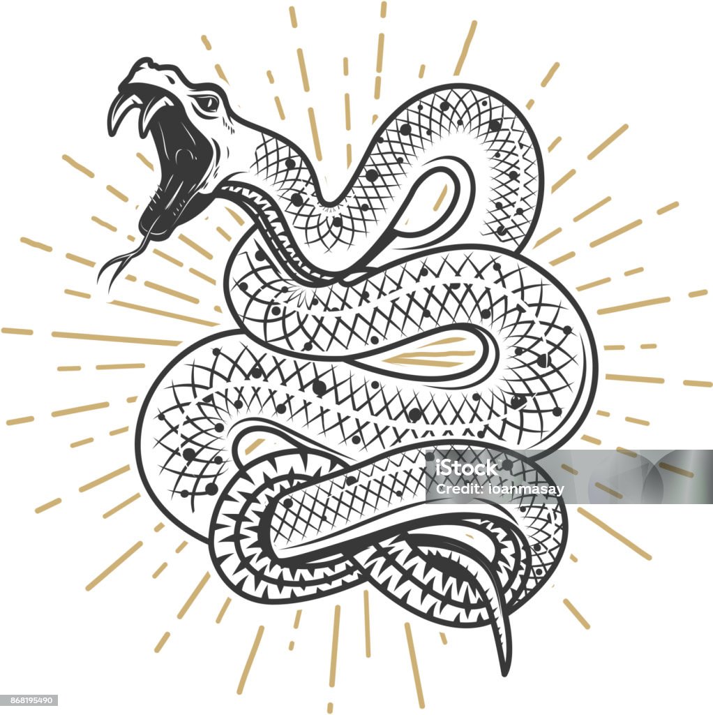 Illustrazione di serpente vipera su sfondo bianco. Elemento di design per poster, emblema, segno. Illustrazione vettoriale - arte vettoriale royalty-free di Serpente - Rettile