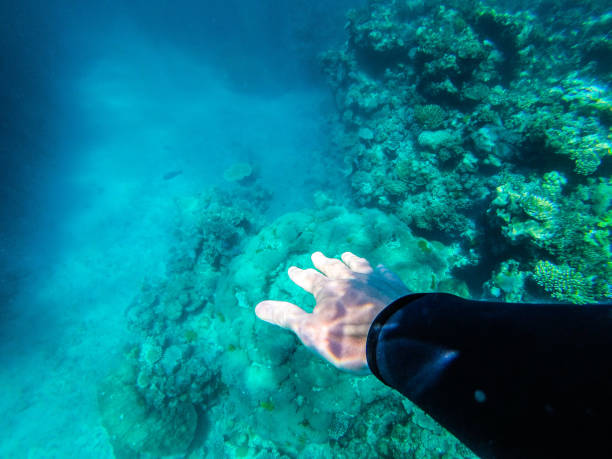 istock Exploring The Great Barrier Reef in Queensland 868199676