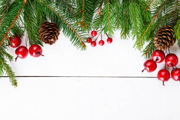 новогодняя, рождественская тема. зеленые еловые ветви, декоративные ягоды на белом деревянном фоне. праздничный фон. свободное пространств - pine nut nut isolated pine cone стоковые фото и изображения