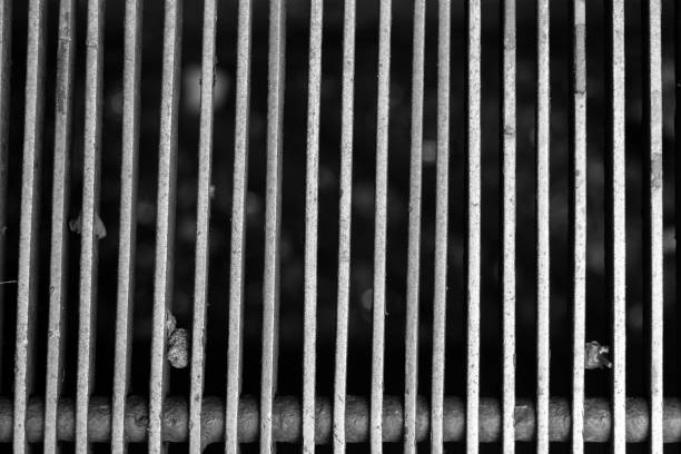 A detailed black and white photograph showcasing vertical corrugated surface, textures, and abstract lines.