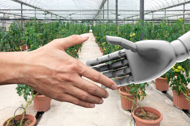 istock Smart agriculture , Artificial intelligence (AI) advisor or robo-adviser technology. Shaking hands of orchard farmer and automation robot with automation iot smart vegetables farm background. 868204938