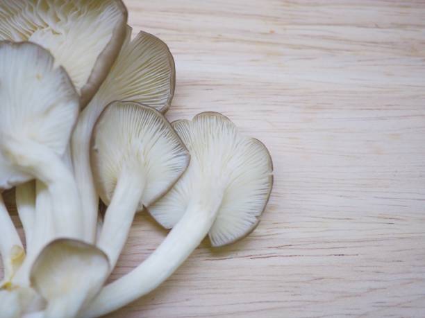 istock Mushrooms on a wooden cutting board 868206464