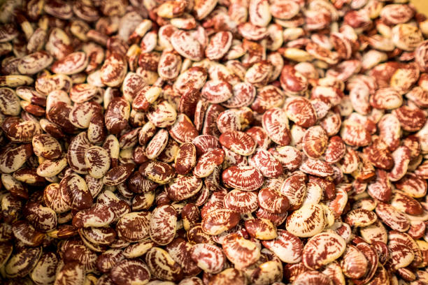 Colorful and healthy food ingredient