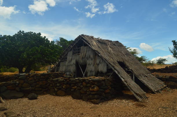 istock Hawaiian Native Village House 868212630