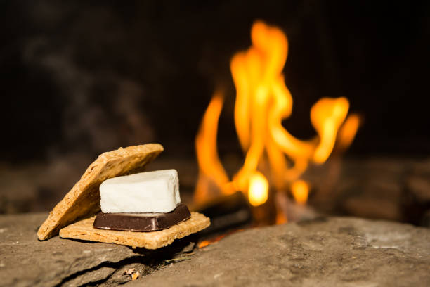 istock Sweet Campfire Smores 868212644