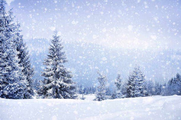 paesaggio invernale fatato con abeti - hut winter snow mountain foto e immagini stock