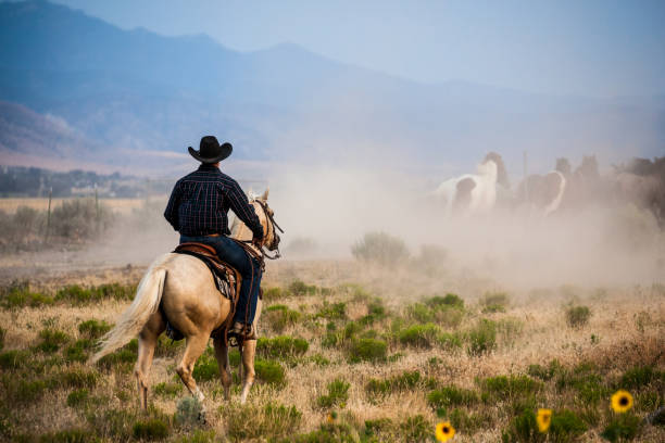 istock lone cowboy outdoors herding horses at dusk with rope lasso utah 868215892