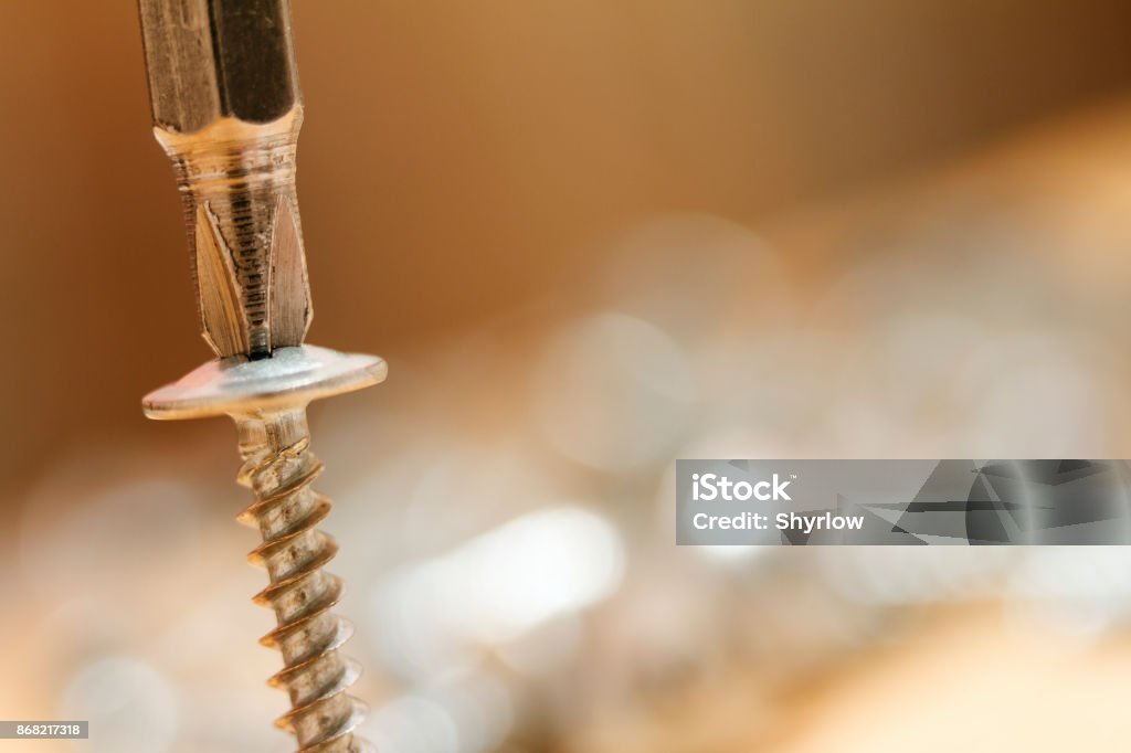 Screwdriver inserted into screw head. Macro photography isolated on blurred background. Screwdriver inserted into screw head. Macro photography isolated on blurred background. There is space for text Screw Stock Photo