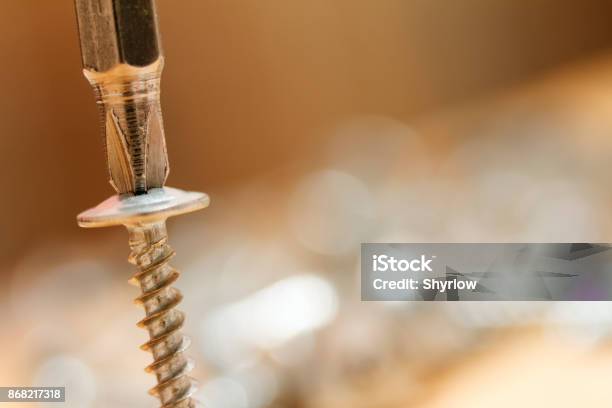 Screwdriver Inserted Into Screw Head Macro Photography Isolated On Blurred Background Stock Photo - Download Image Now