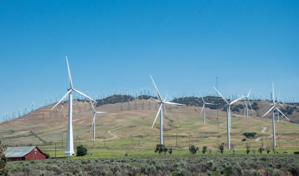 istock Ecologically clean electricity production. Wind Turbines in California 868220920