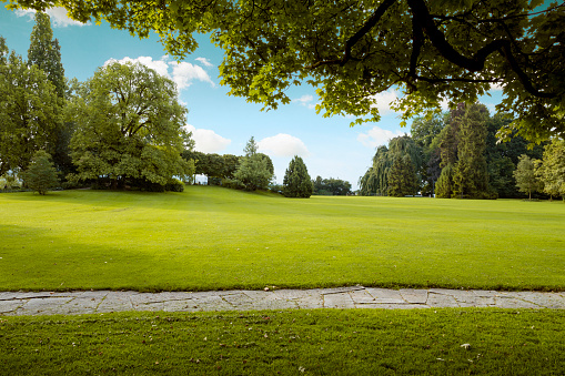 Beautiful panorama of green city park at dawn