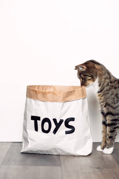 istock Funny cat with looks curiously at the paper craft package 868227358